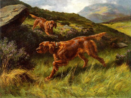 Painting, two irish red setters on moors